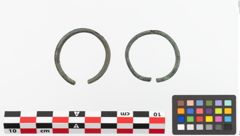 Foto von Bronzering (NHMW-PRAE-023724)